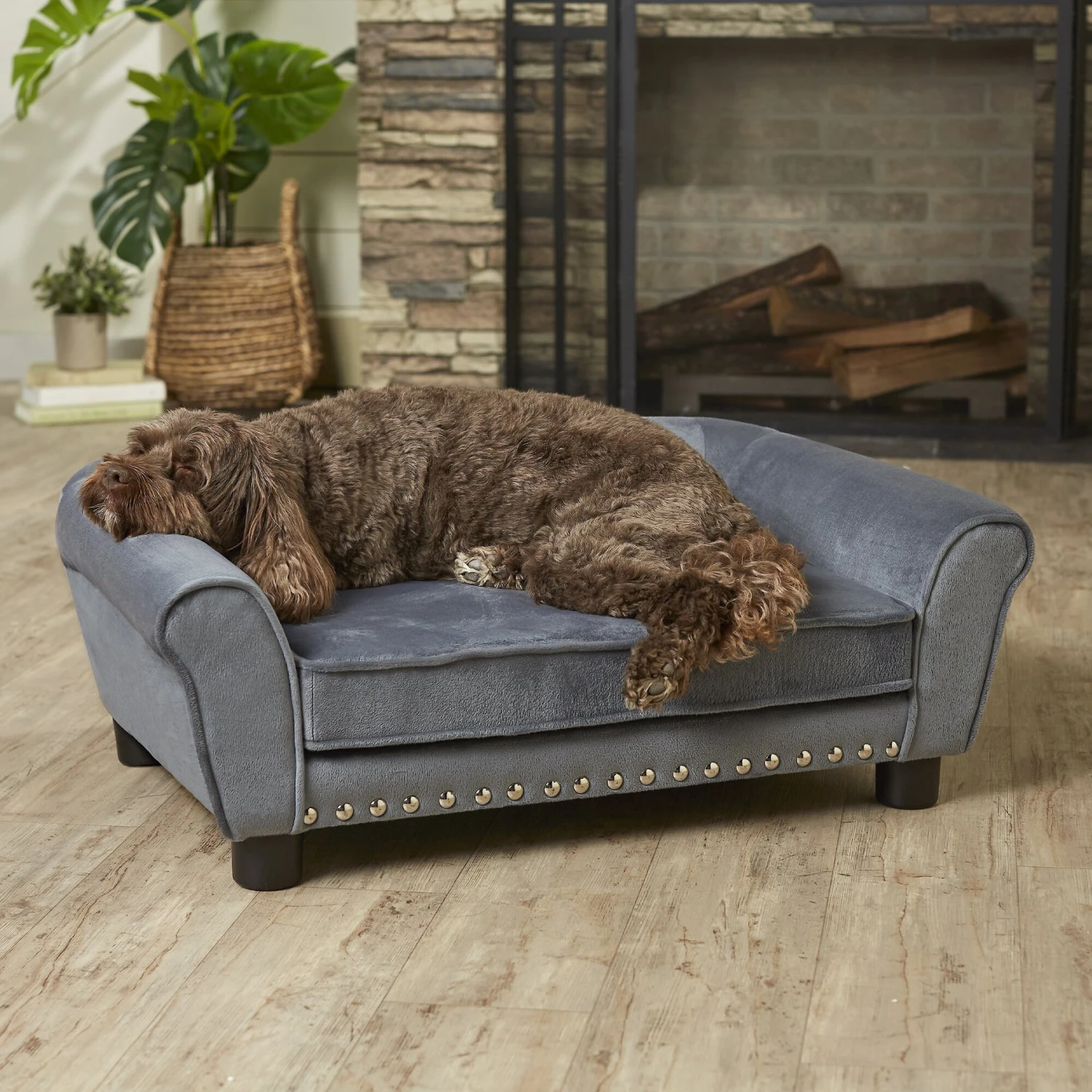 Enchanted Home Pet Charley Sofa Cat & Dog Bed With Removable Cover