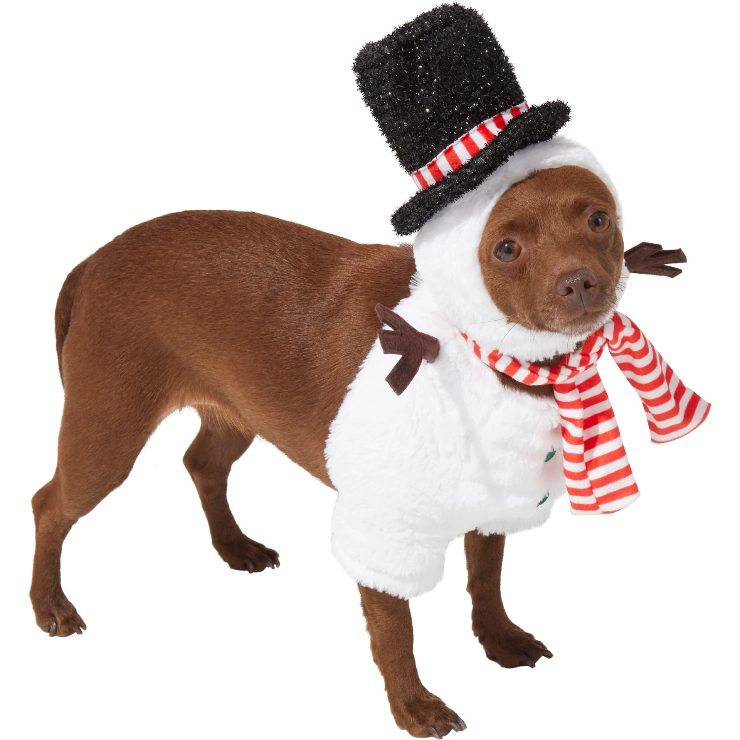 Frisco Front Walking Snowman Dog & Cat Costume - Image 3
