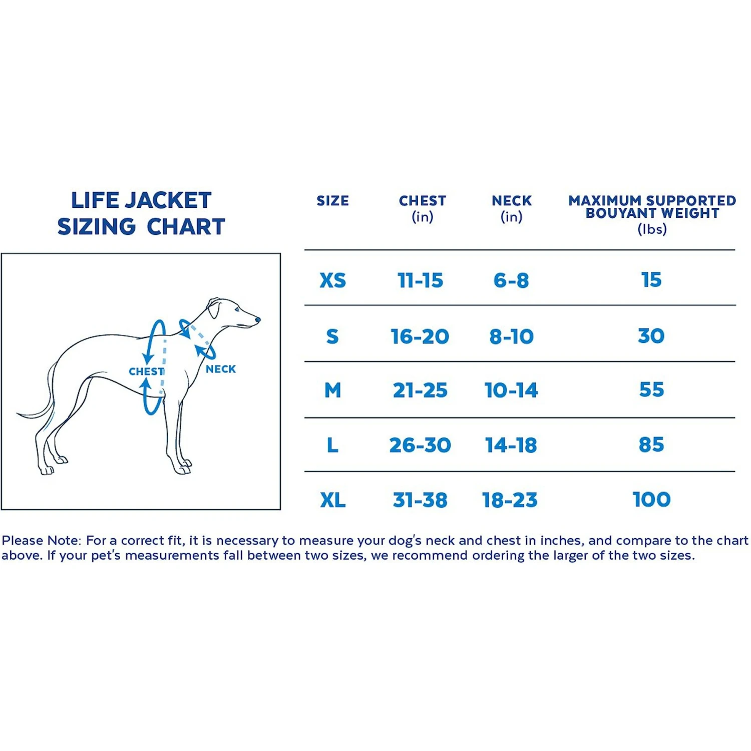 Pixar Finding Nemo & Friends Dog Lifejacket - Image 2