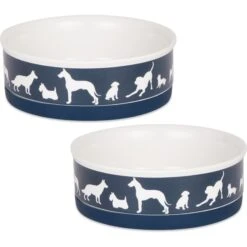 Bone Dry Show Set Dog Bowl