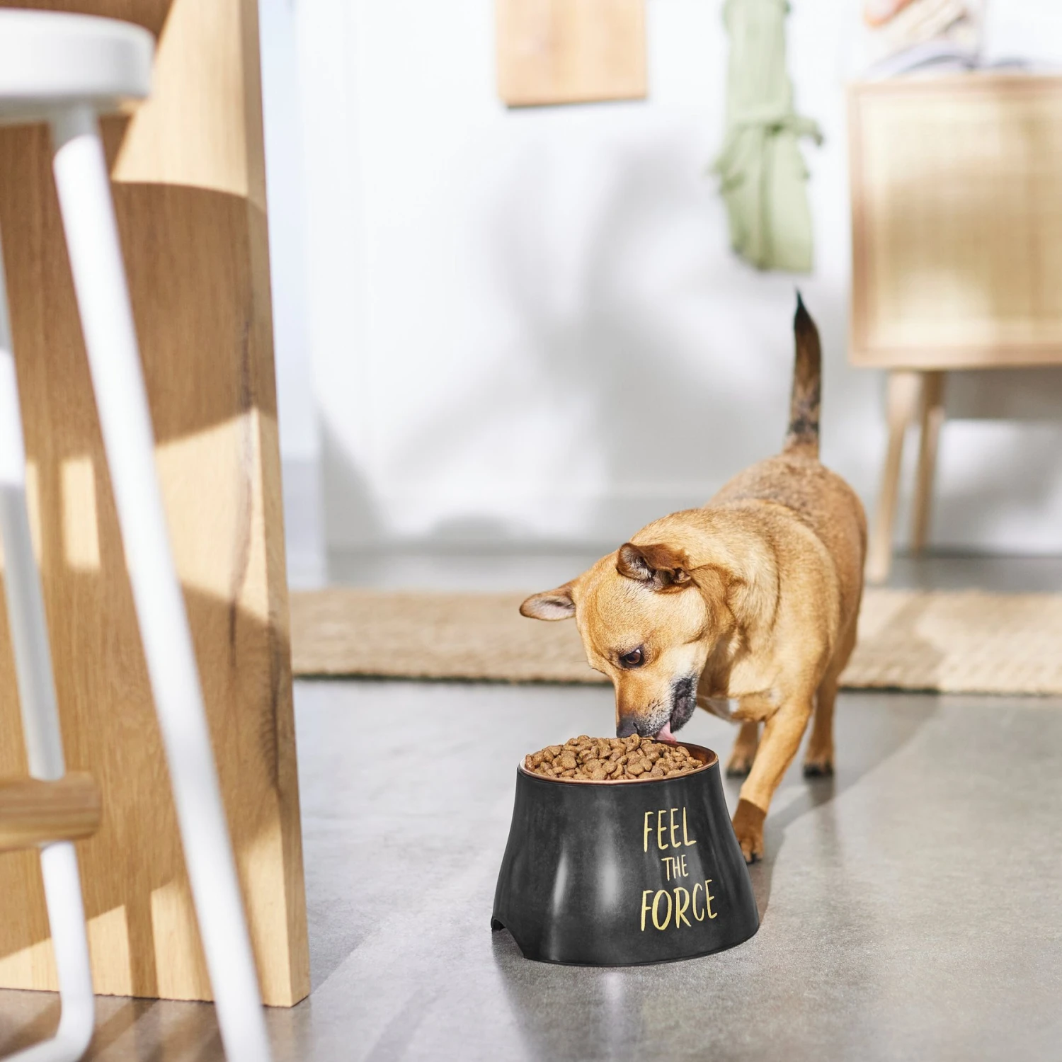 STAR WARS REBEL ICON Elevated Melamine Stainless Steel Dog & Cat Bowl, Black, 1.5 Cup - Image 3