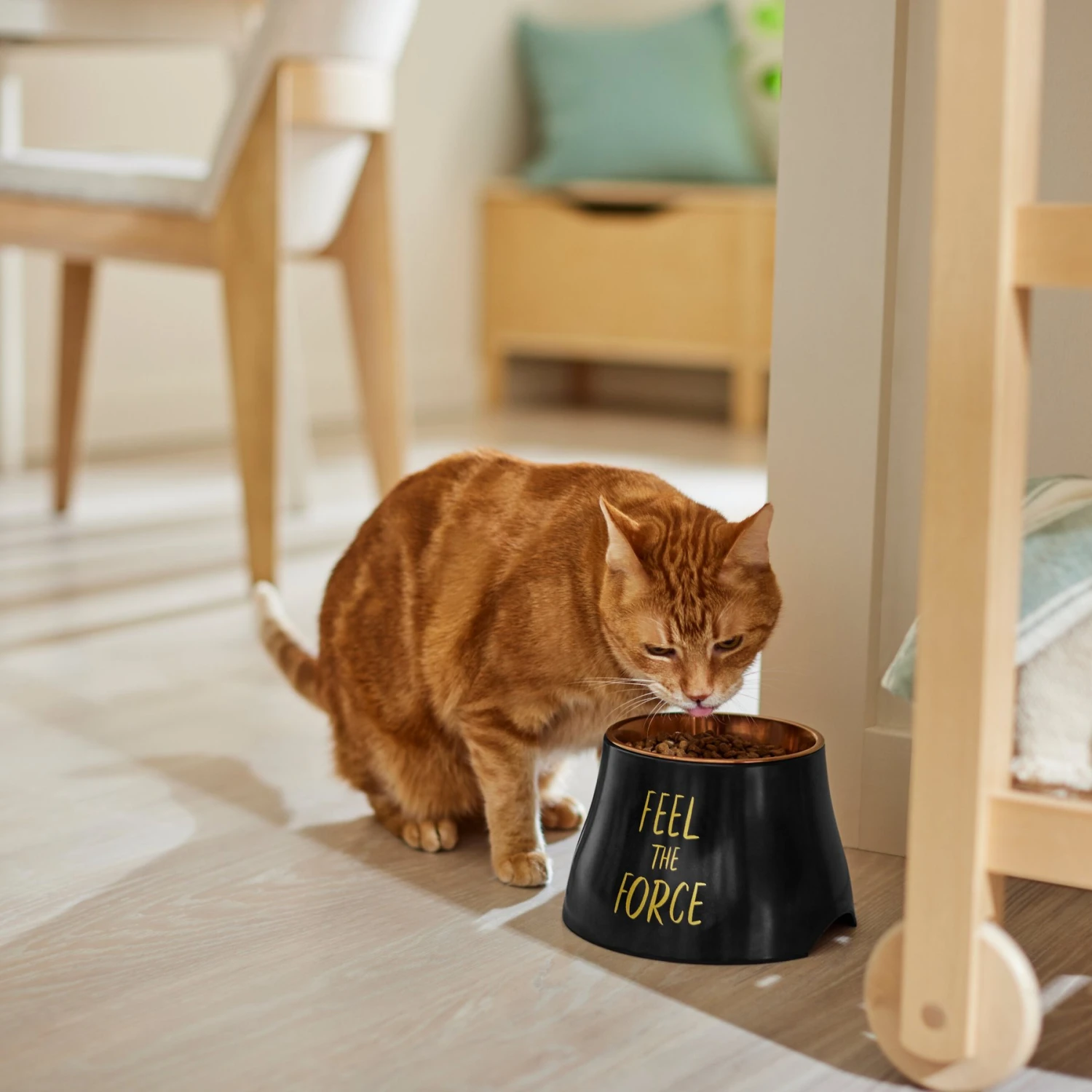 STAR WARS REBEL ICON Elevated Melamine Stainless Steel Dog & Cat Bowl, Black, 1.5 Cup - Image 4