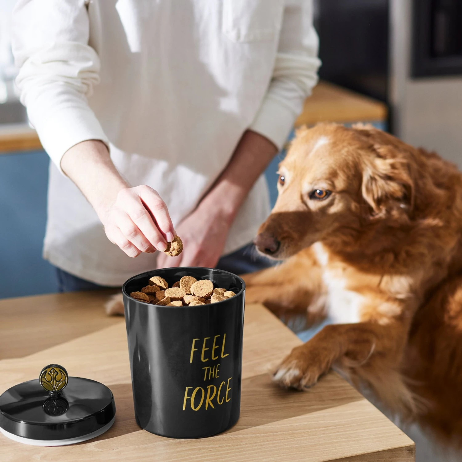 STAR WARS Melamine Dog & Cat Treat Jar - Image 3