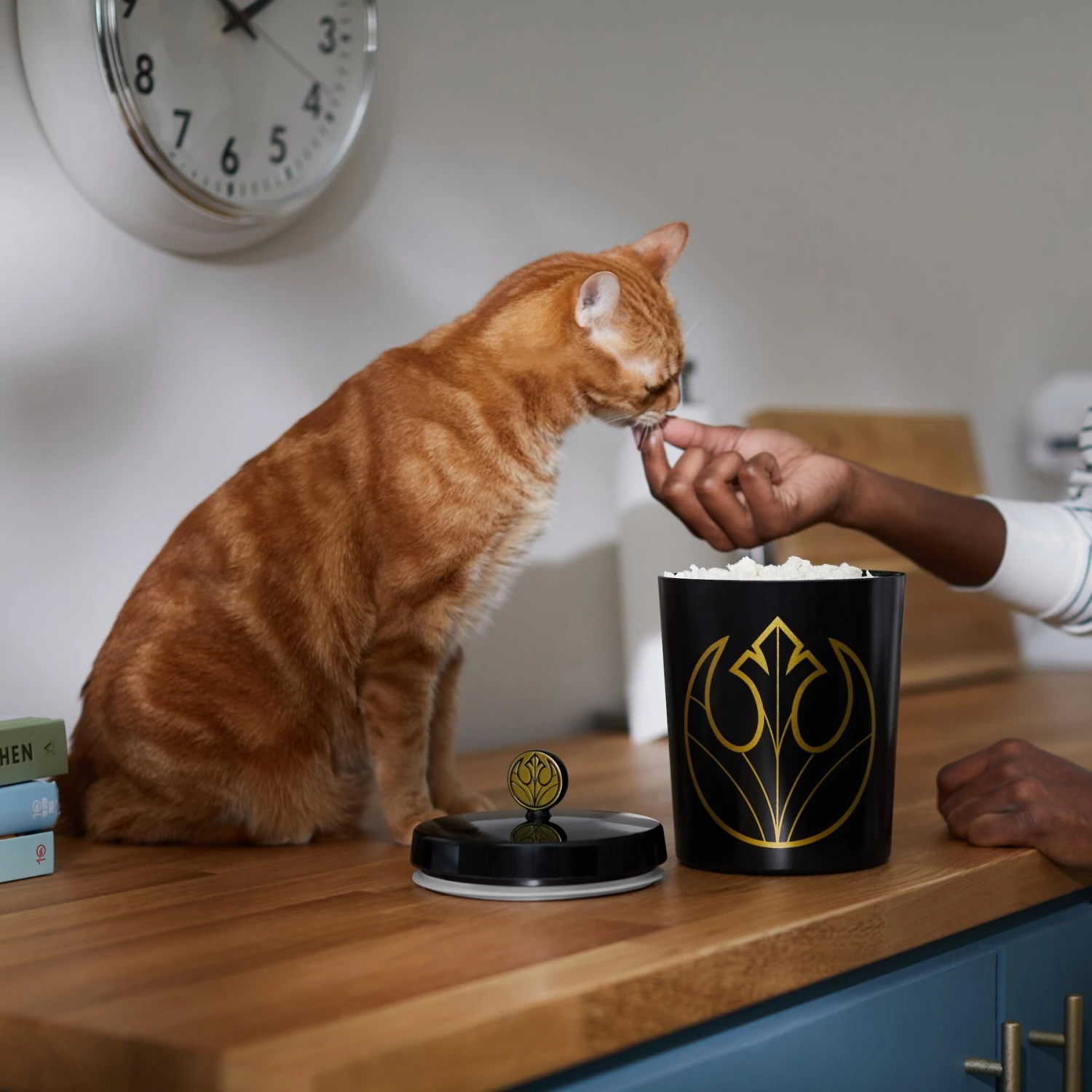 STAR WARS Melamine Dog & Cat Treat Jar - Image 4