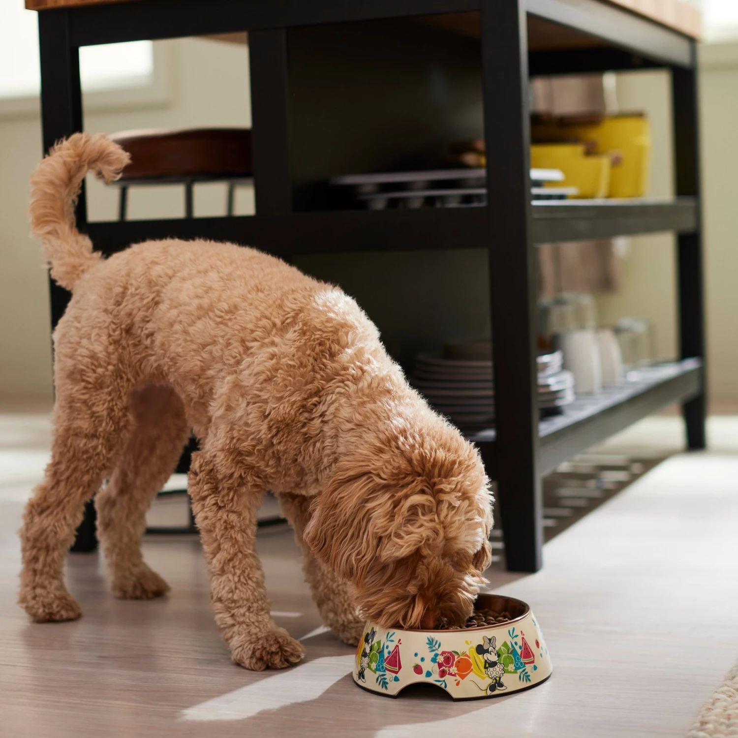 Disney Minnie Mouse Summer Bamboo Melamine Stainless Steel Dog & Cat Bowl - Image 3