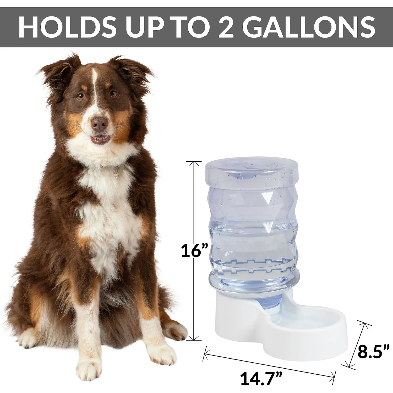 PetFusion H2O Gravity Dog & Cat Waterer - Image 2