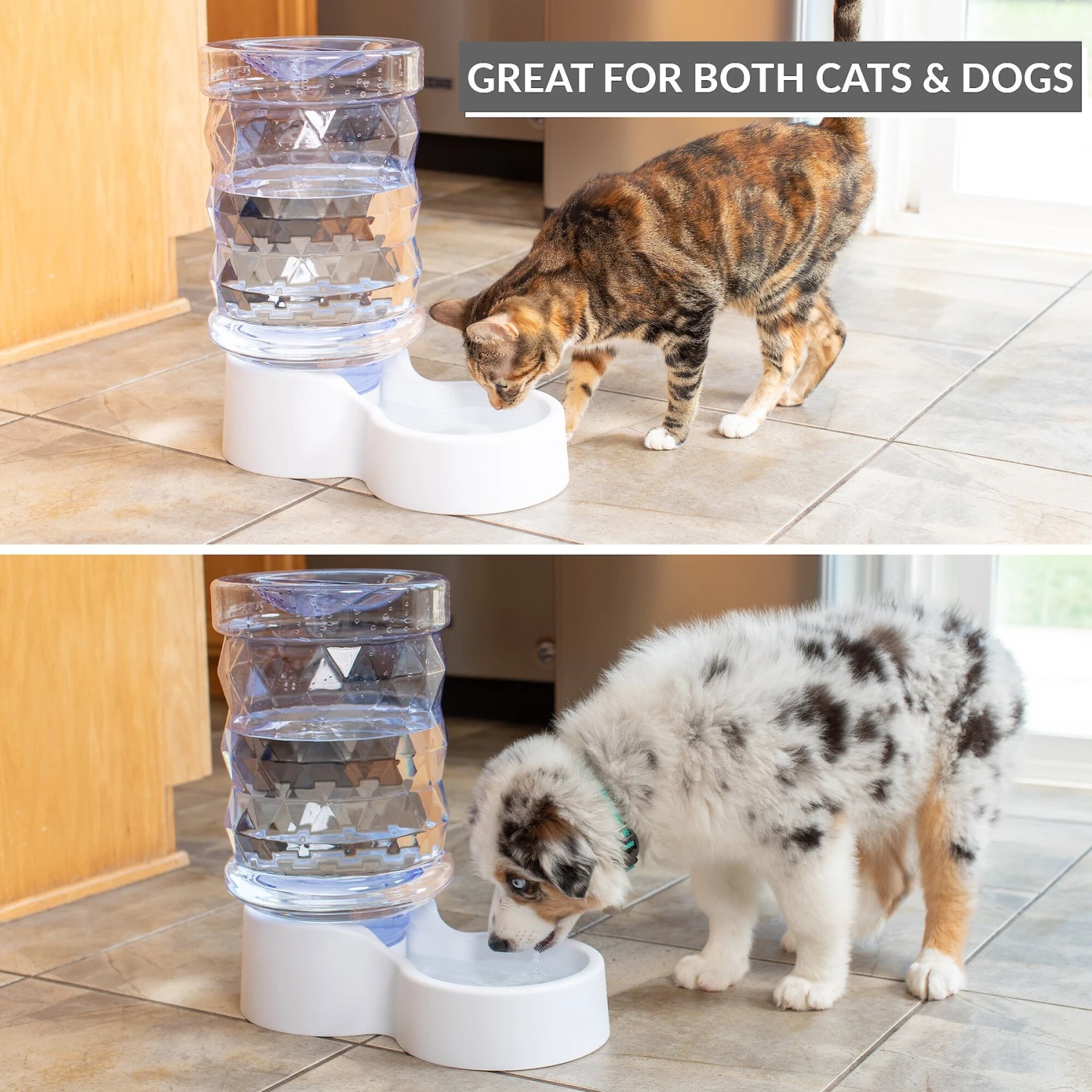 PetFusion H2O Gravity Dog & Cat Waterer - Image 3