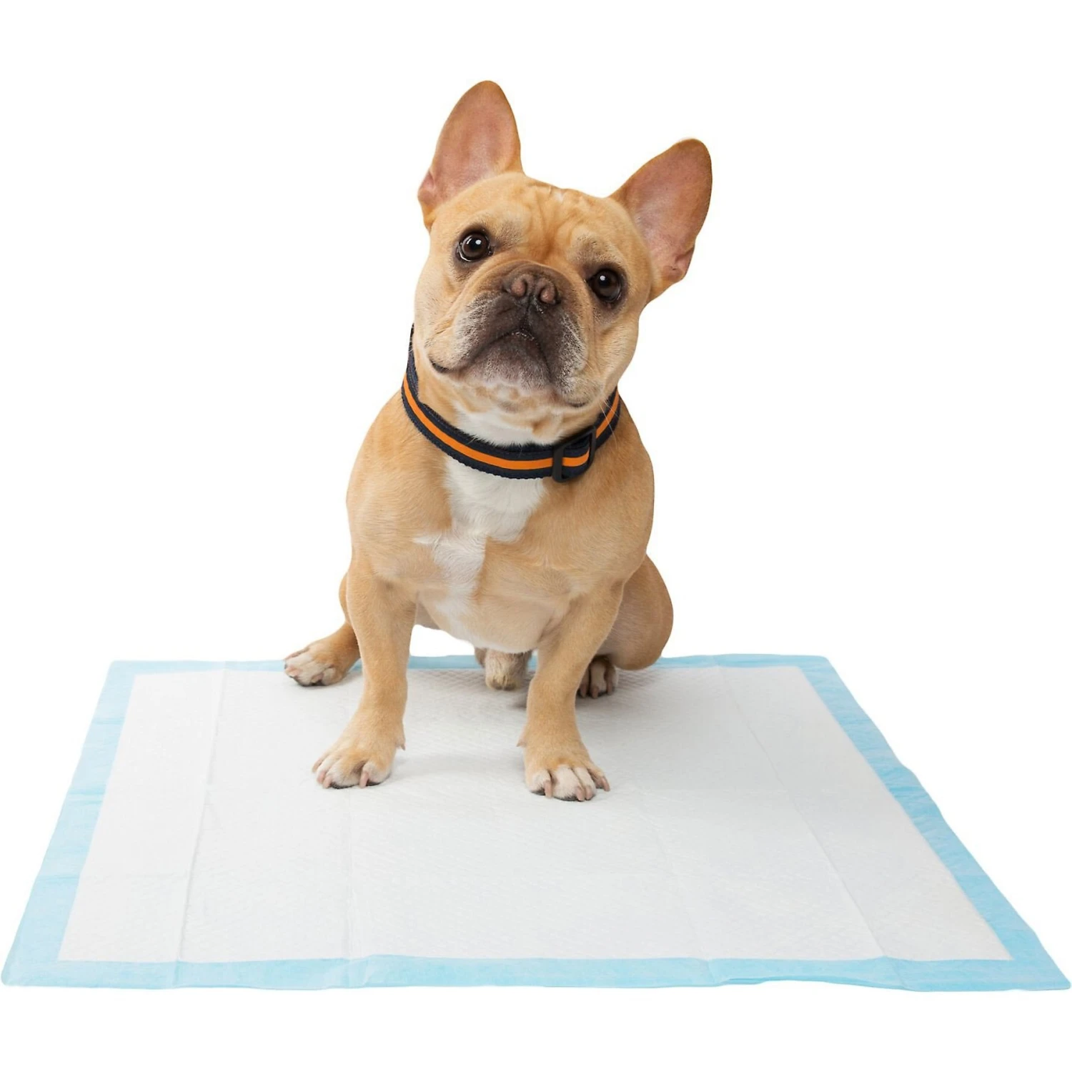 Frisco Training Pad Holder & Frisco Premium Dog Training & Potty Pads - Image 9