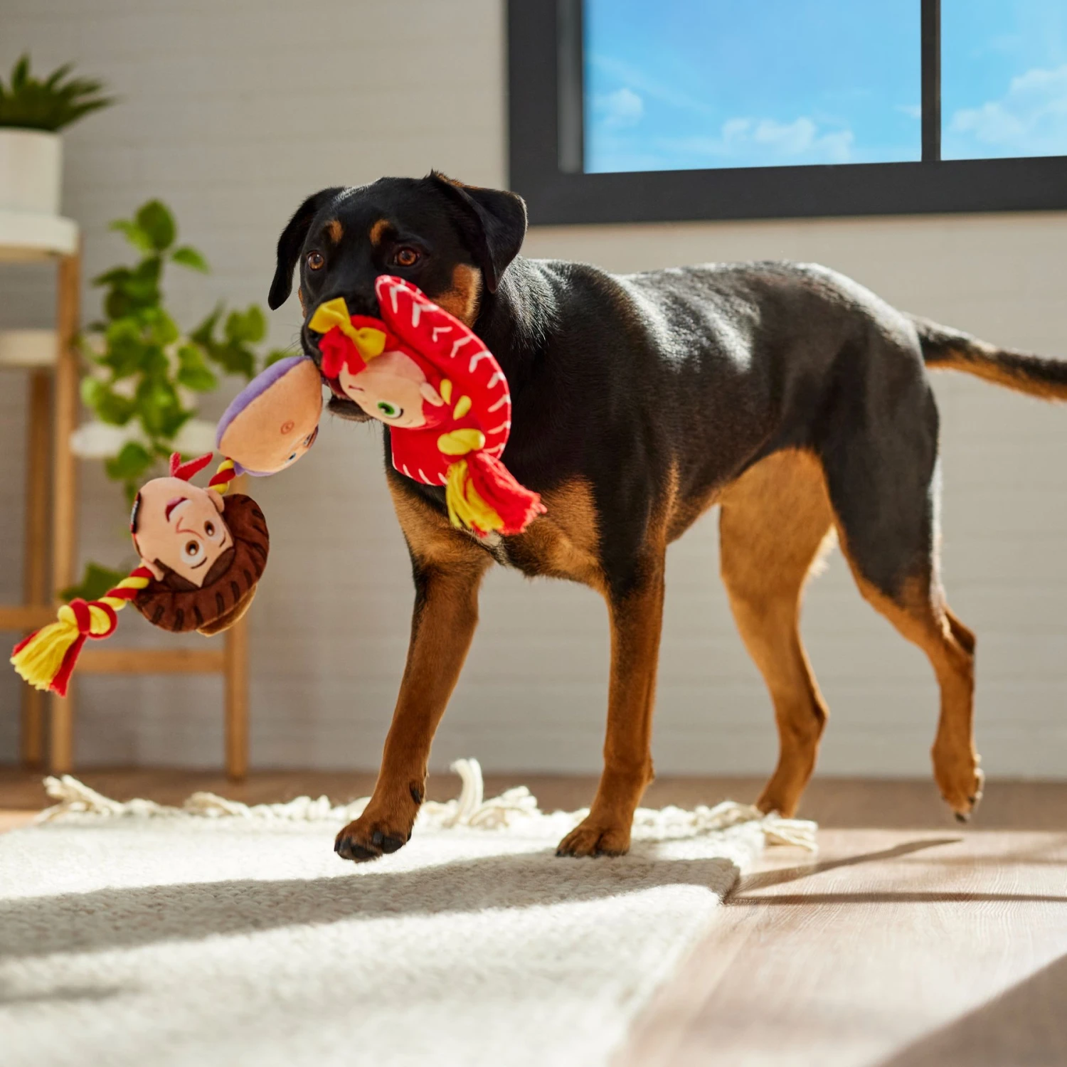 Pixar Toy Story's Woody, Jessie, & Buzz Lightyear Plush With Rope Squeaky Dog Toy - Image 3