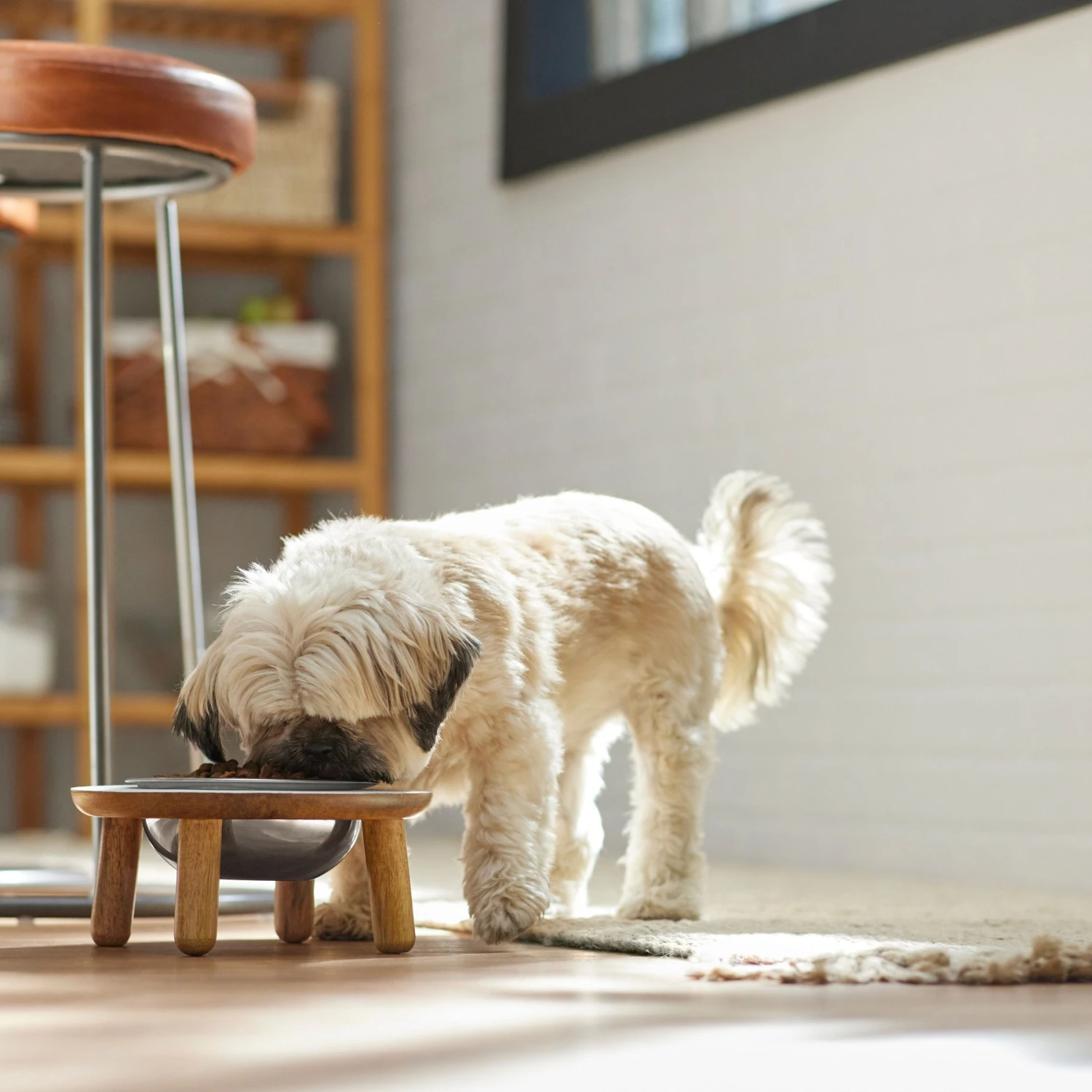 Frisco Premium Round Shape Elevated Single Dog & Cat Bowl - Image 3