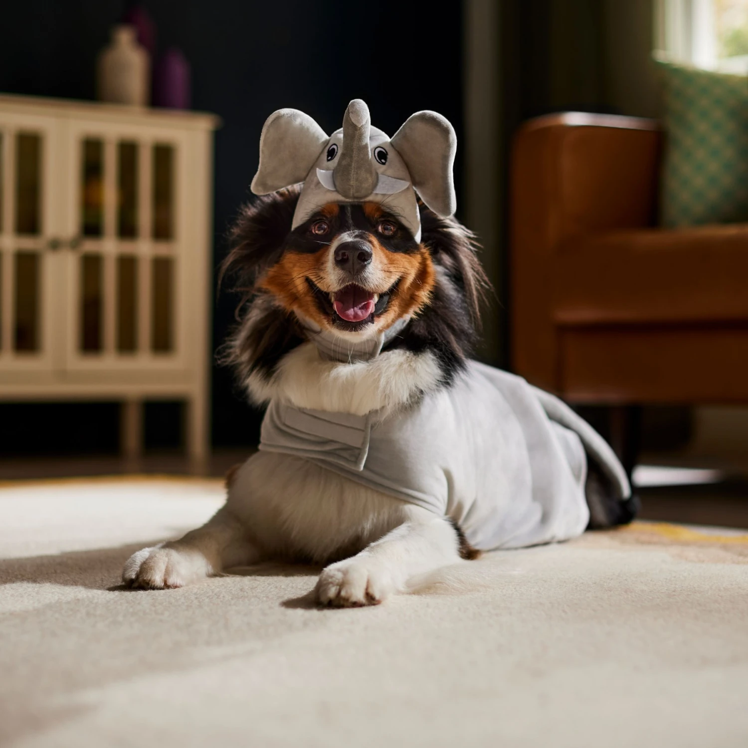 Frisco Elephant Dog & Cat Costume - Image 6