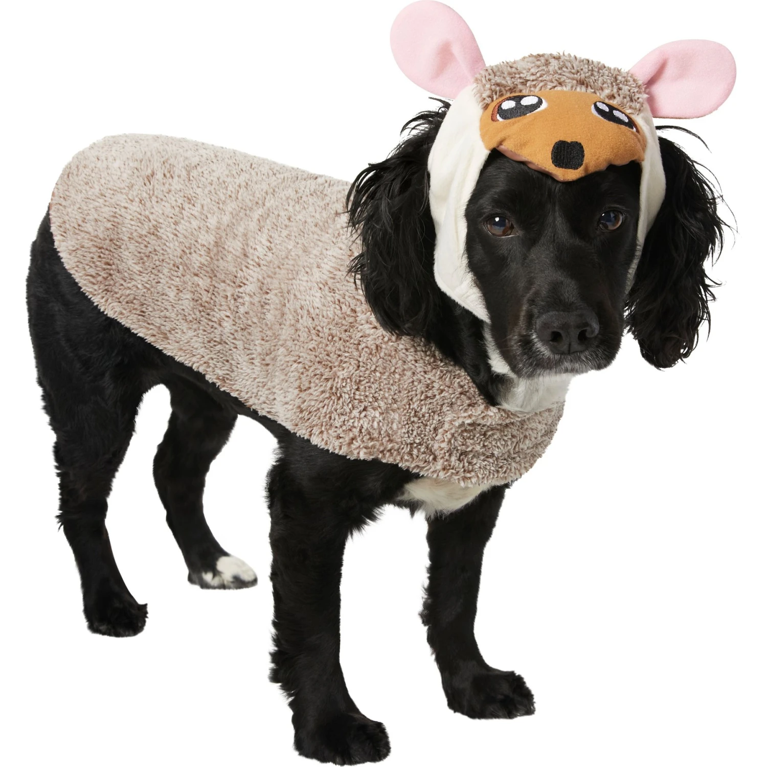 Frisco Hedgehog Dog & Cat Costume