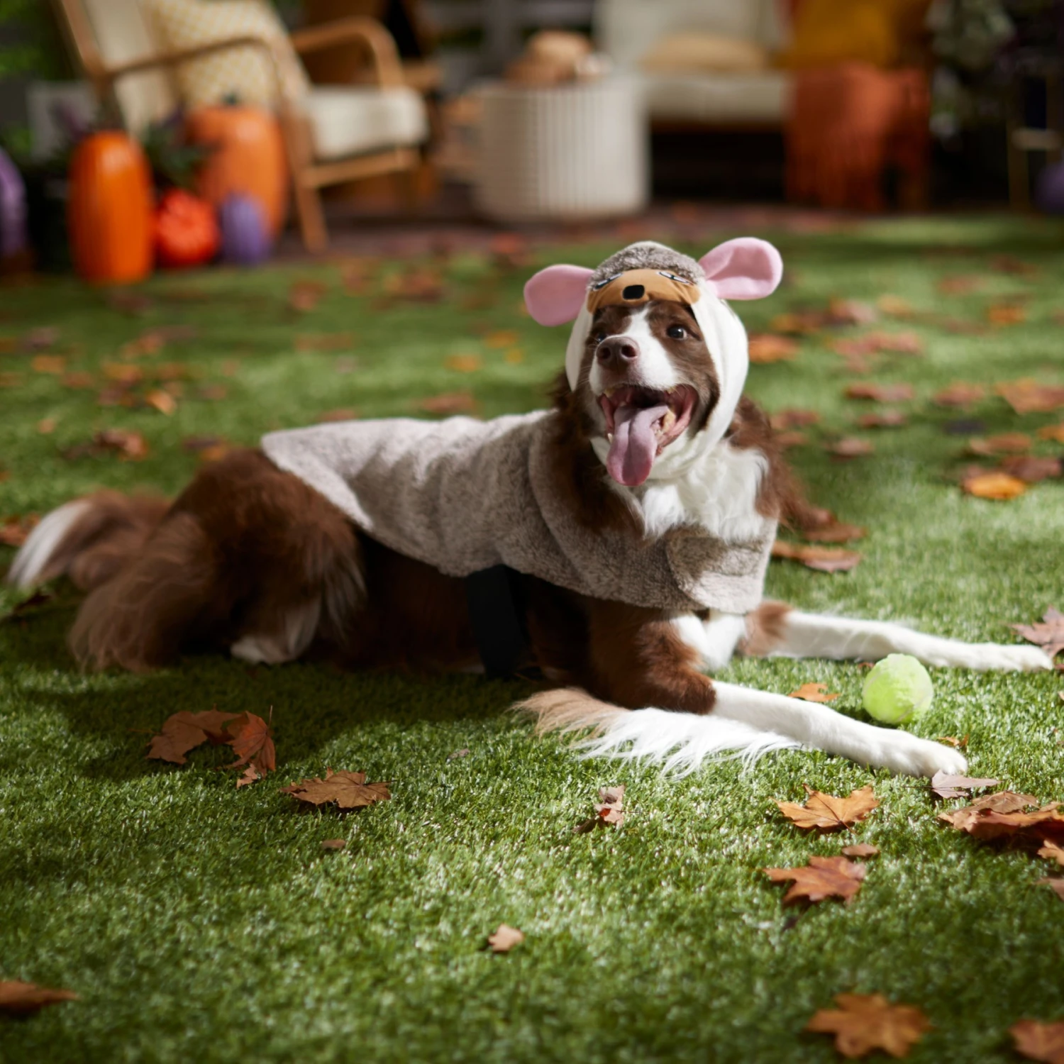 Frisco Hedgehog Dog & Cat Costume - Image 6