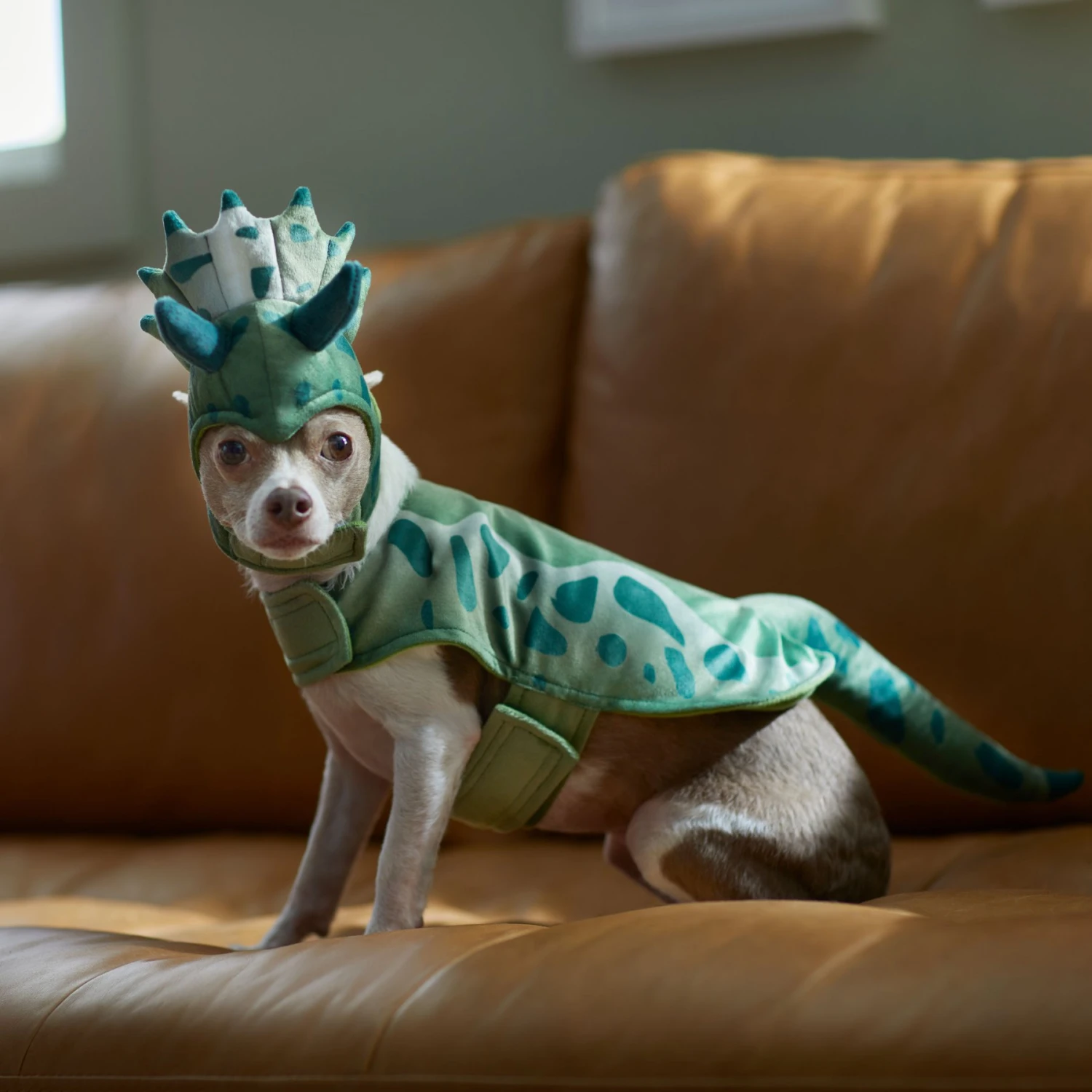 Frisco Triceratops Dog & Cat Costume - Image 7