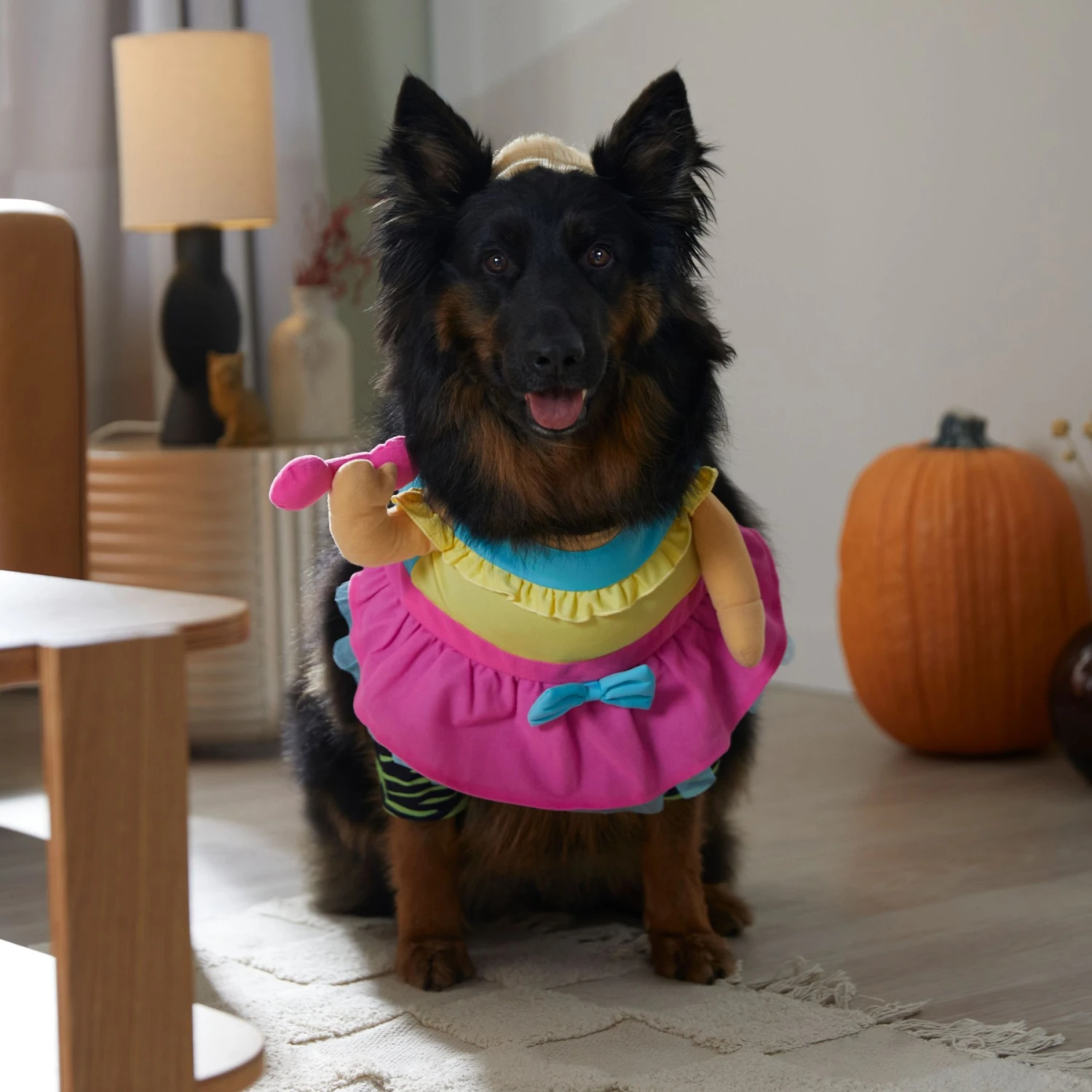 Frisco Front Walking Workout Girl Dog & Cat Costume - Image 7