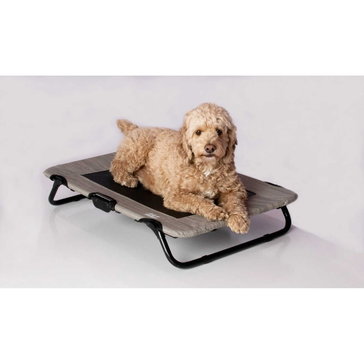 Pet Gear Pet Cot Dog Bed - Image 3