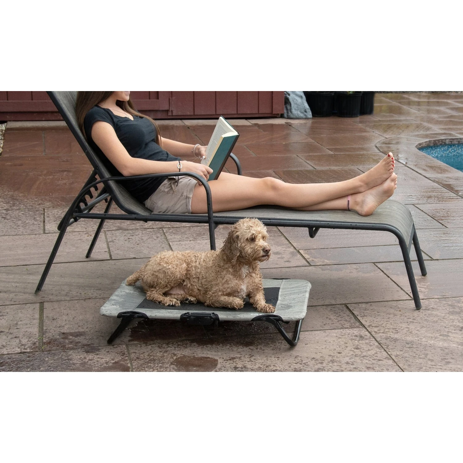 Pet Gear Pet Cot Dog Bed - Image 6