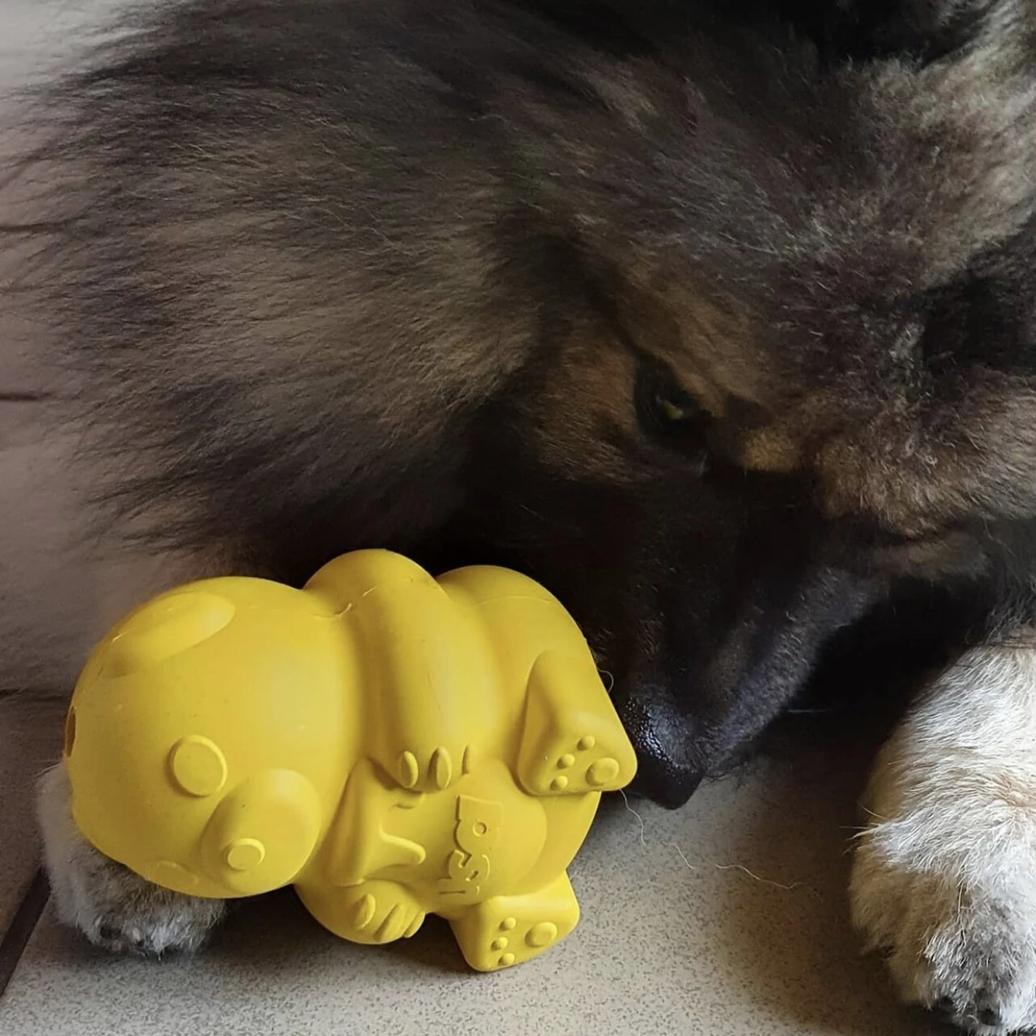 SodaPup Honey Bear Rubber Treat Dispenser Dog Toy - Image 5