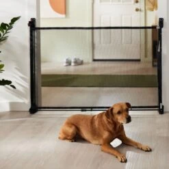 Frisco Expandable And Retractable Mesh Gate