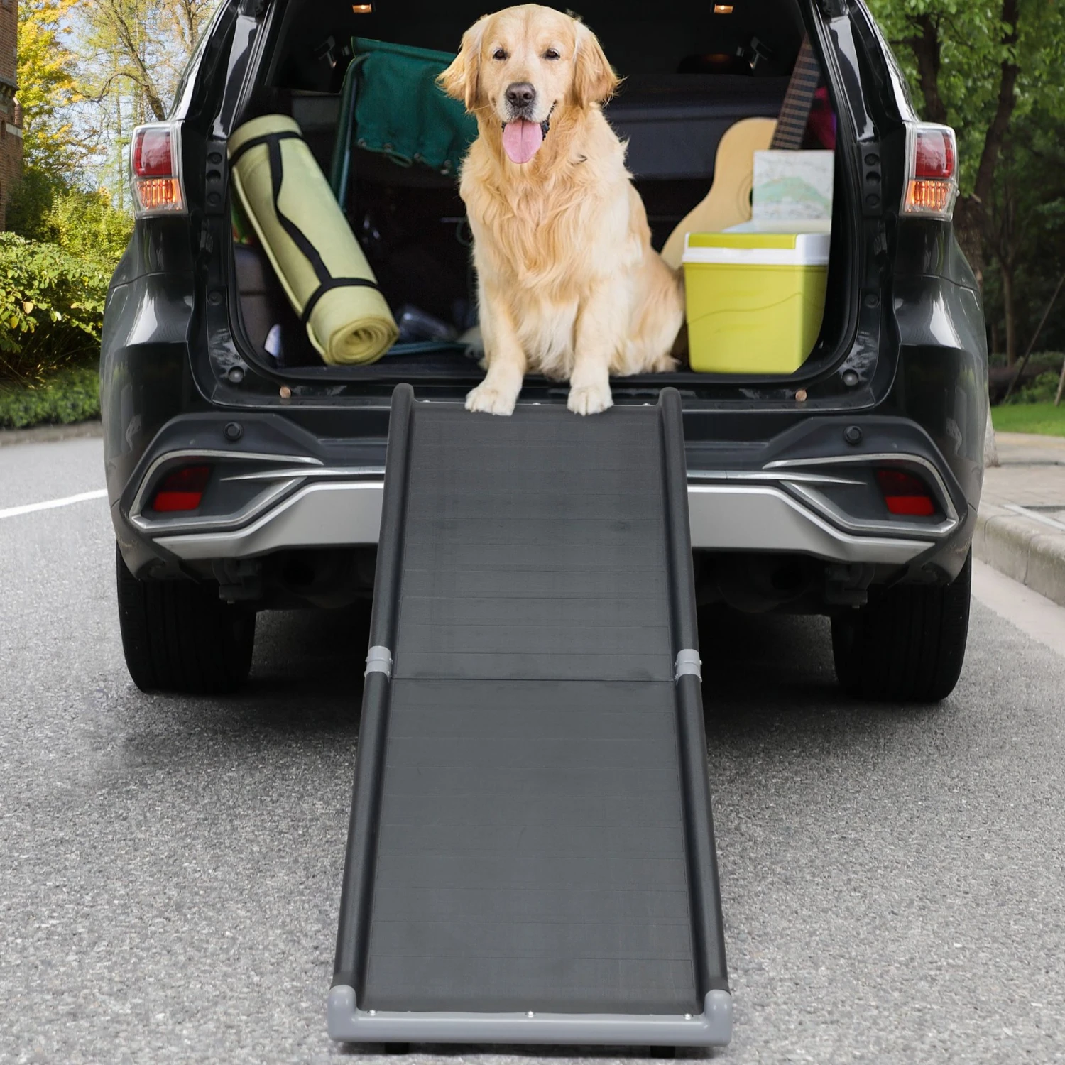 Coziwow By Jaxpety Heavy Duty Foldable Dog Car Ramp, 63-in