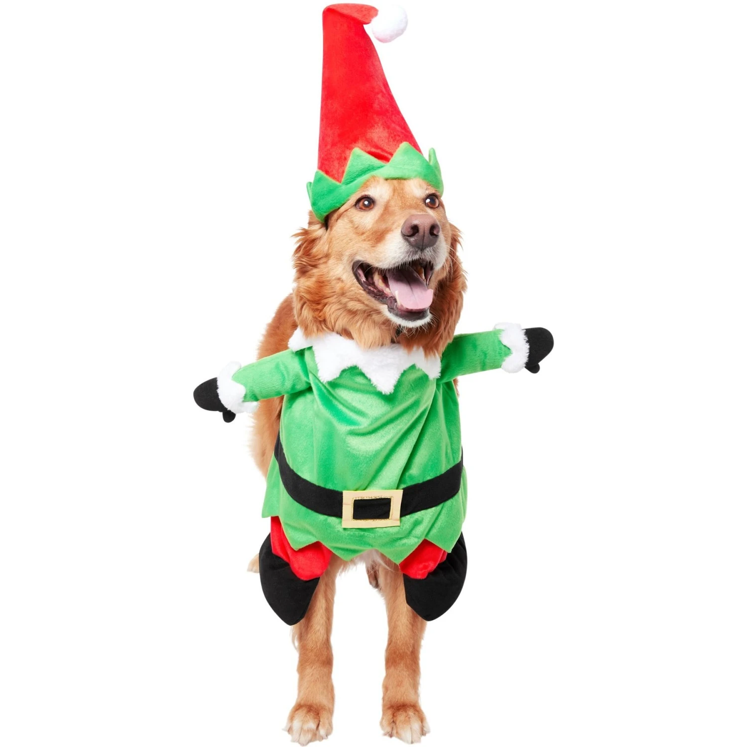 Frisco Front Walking Elf Dog & Cat Costume - Image 4