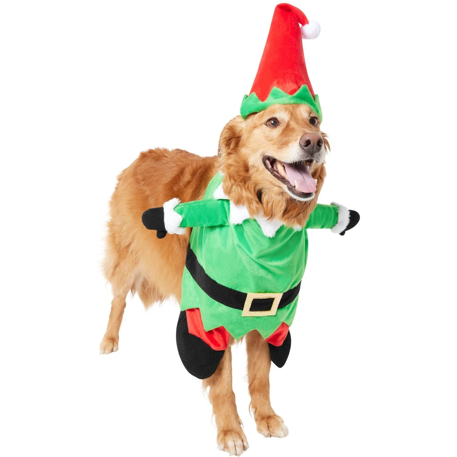 Frisco Front Walking Elf Dog & Cat Costume - Image 5