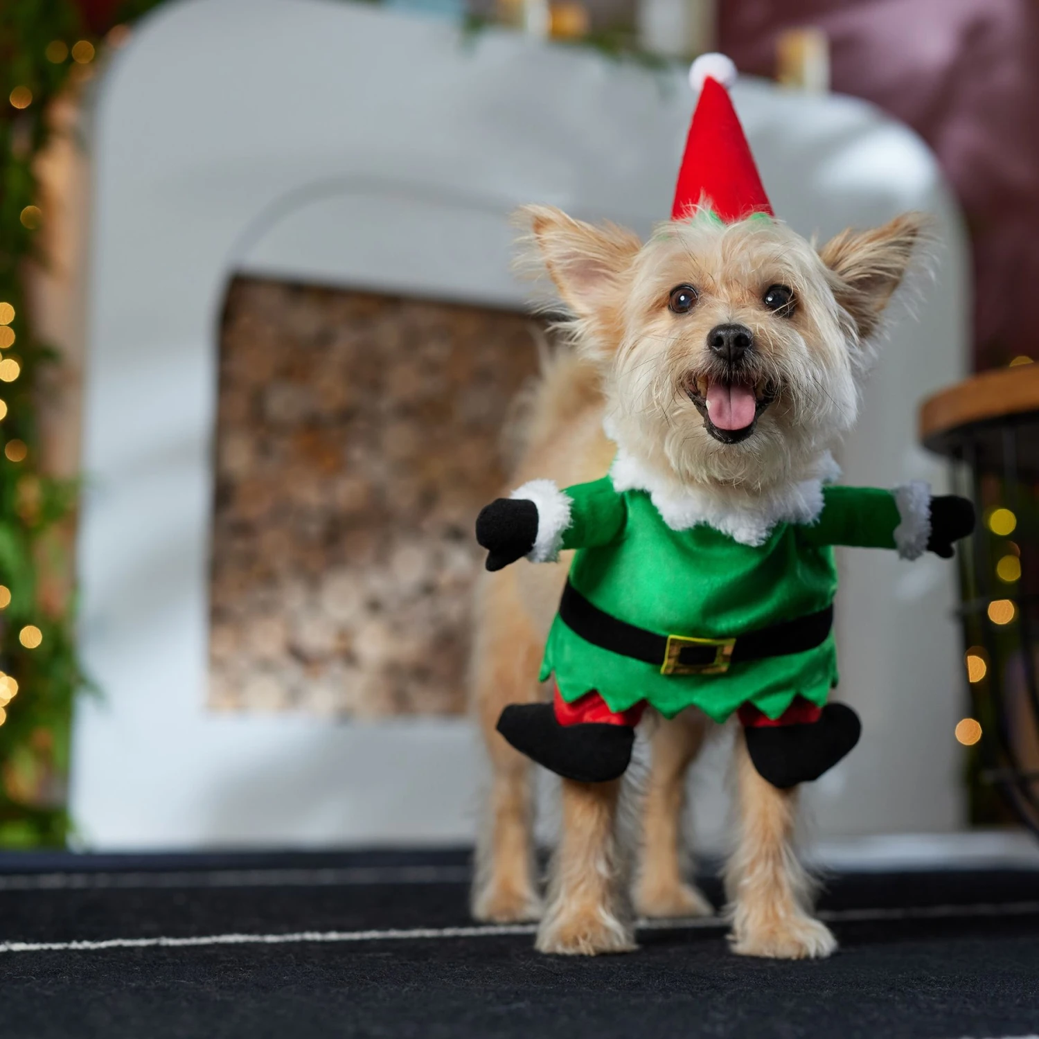 Frisco Front Walking Elf Dog & Cat Costume - Image 8