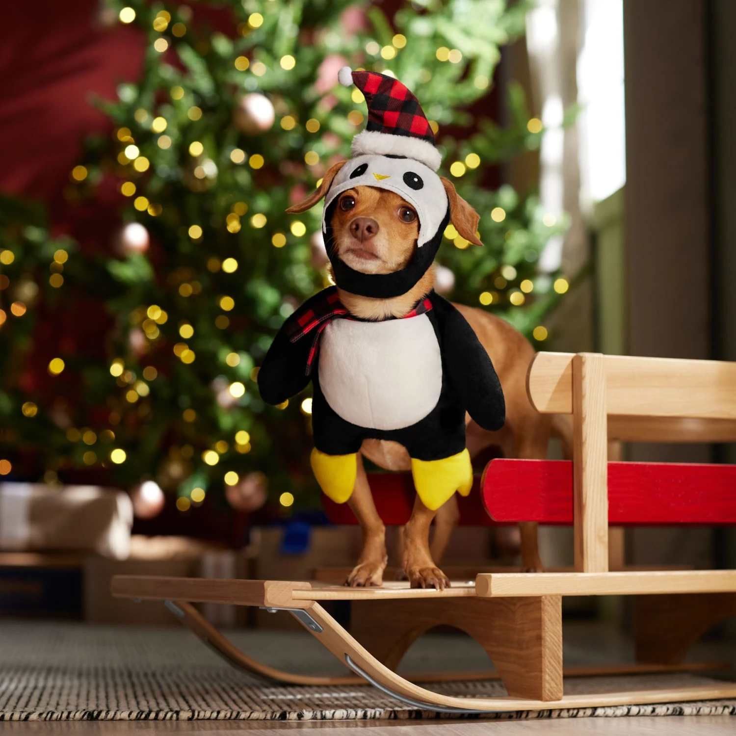 Frisco Front Walking Holiday Penguin Dog & Cat Costume - Image 8