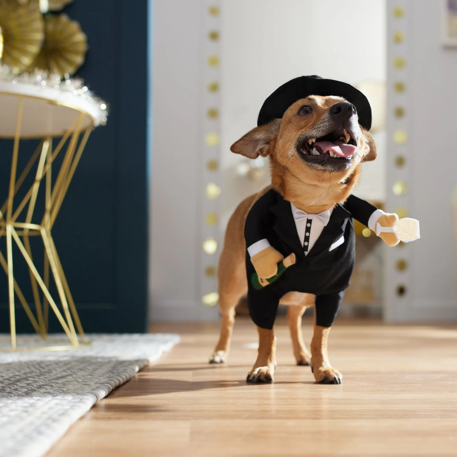 Frisco Front Walking New Years Tuxedo Dog & Cat Costume - Image 8