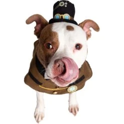 Pet Krewe Steam Punk Dog Costume