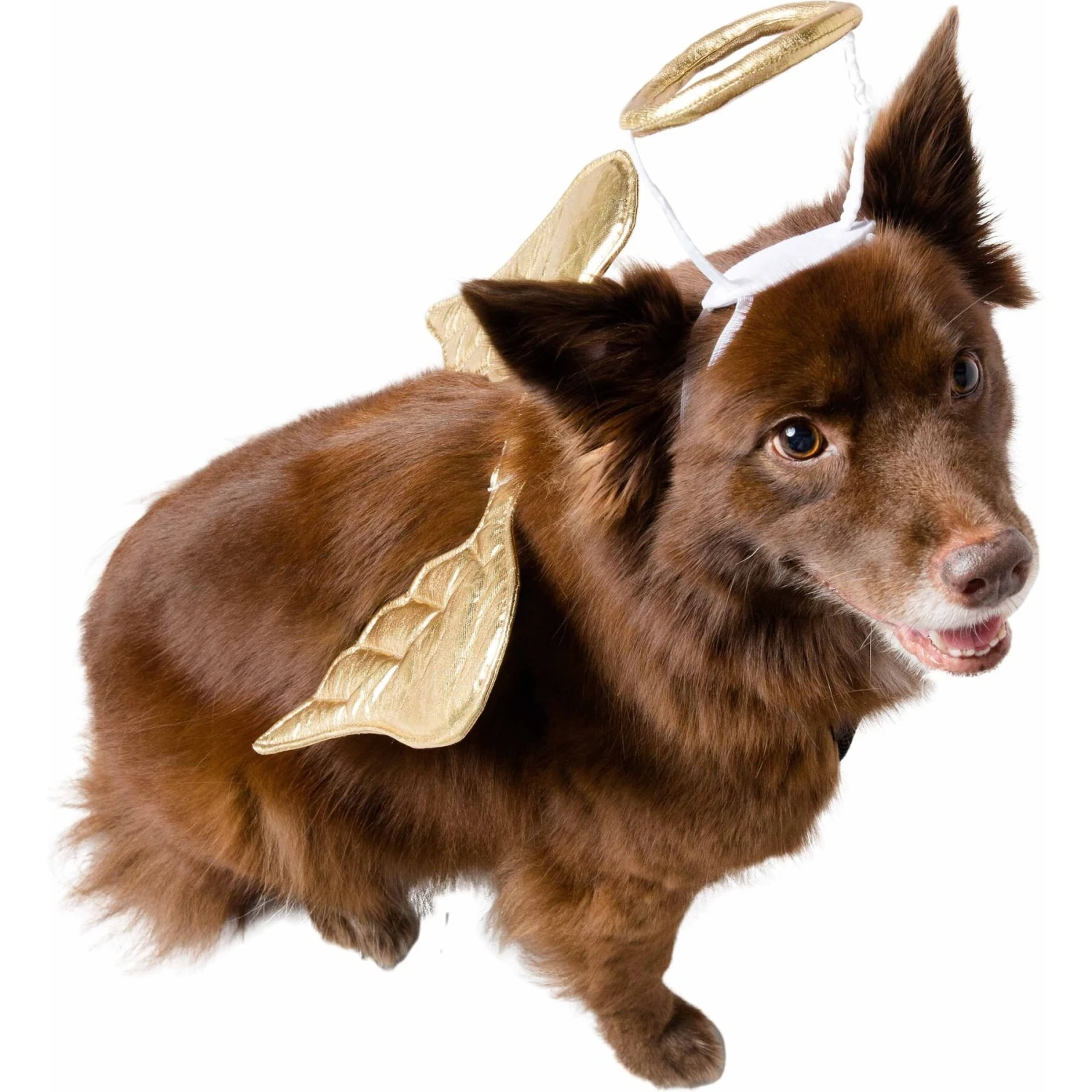 Pet Krewe Angel Wings Gold Dog Costume, One Size