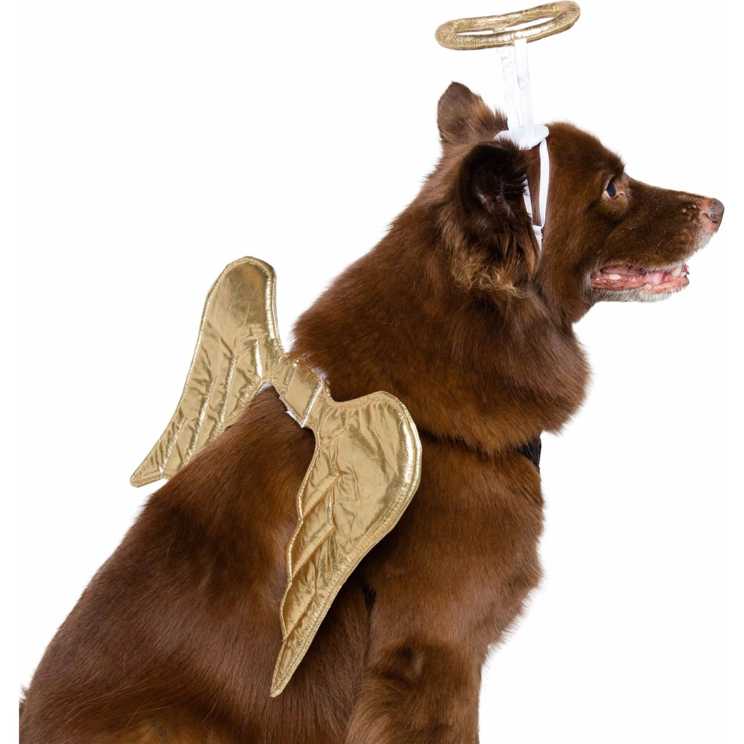 Pet Krewe Angel Wings Gold Dog Costume, One Size - Image 2
