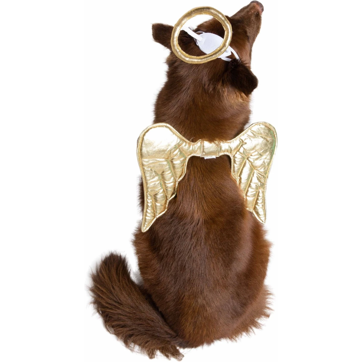 Pet Krewe Angel Wings Gold Dog Costume, One Size - Image 3