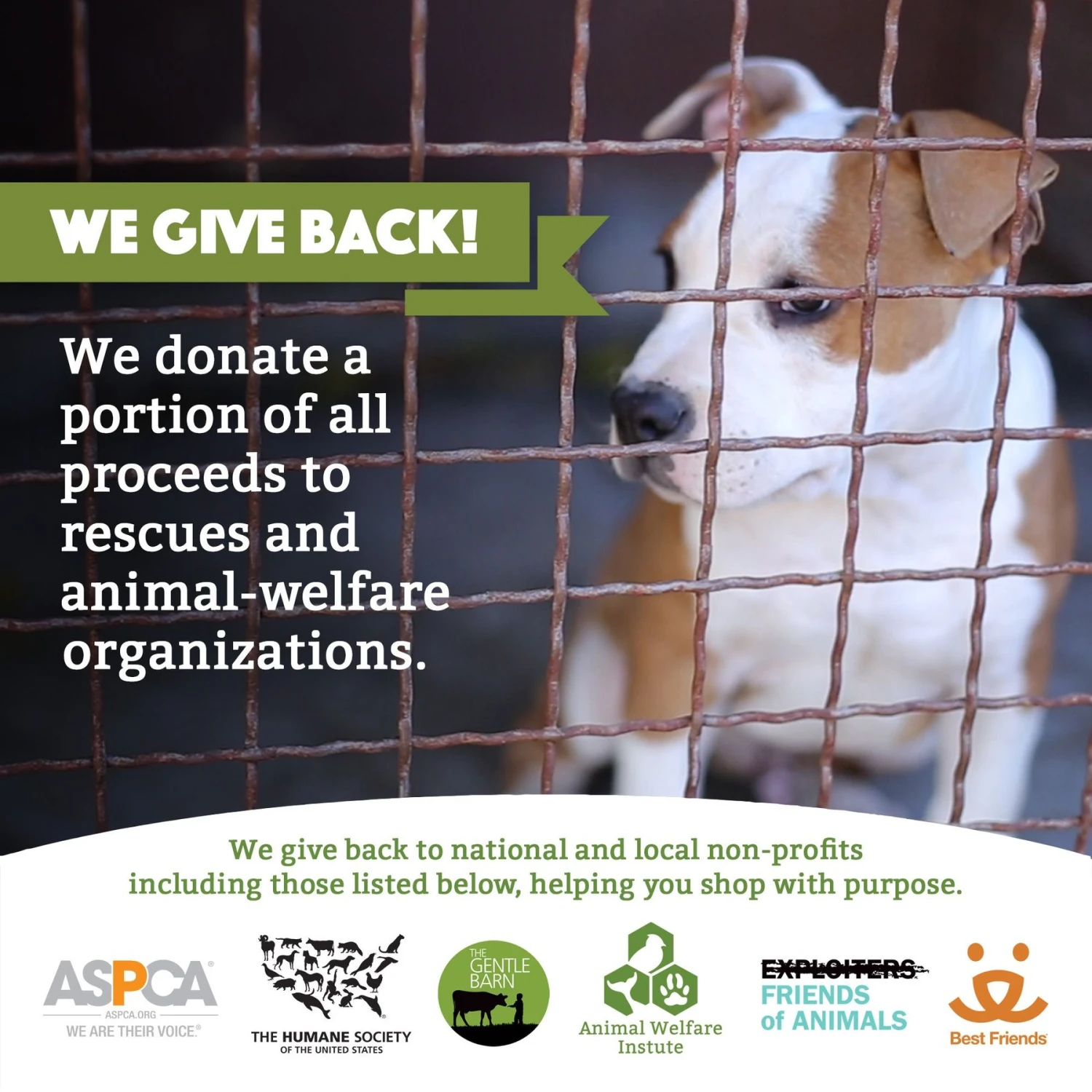 Doggy Do Good Certified Home Compostable Premium Dog & Cat Waste Bags - On A Single Roll, 200 Count - Image 7