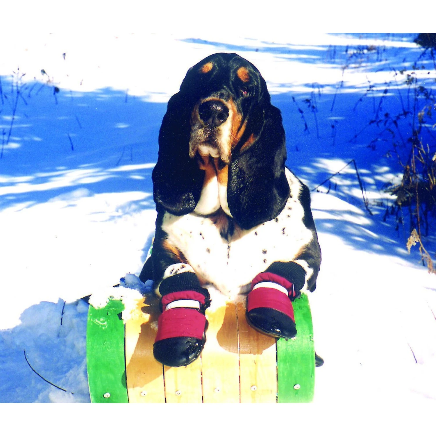 Muttluks Original Fleece-Lined Winter Dog Boots, 4 Count - Image 3