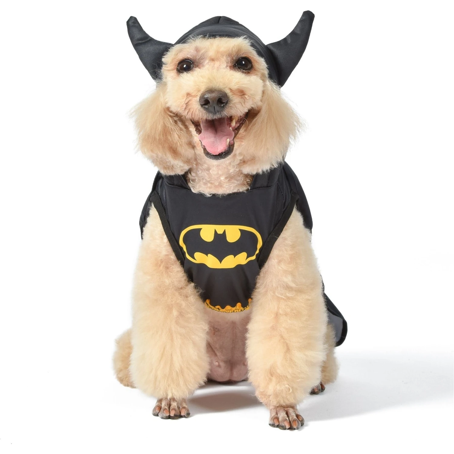 Fetch For Pets DC Comics Batman Hooded Halloween Dog Costume - Image 2