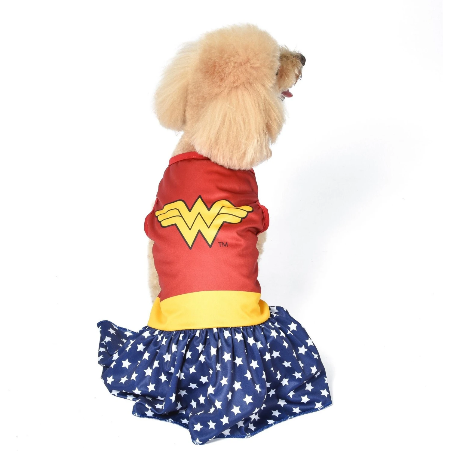 Fetch For Pets DC Comics Wonderwoman Halloween Dog Costume - Image 3