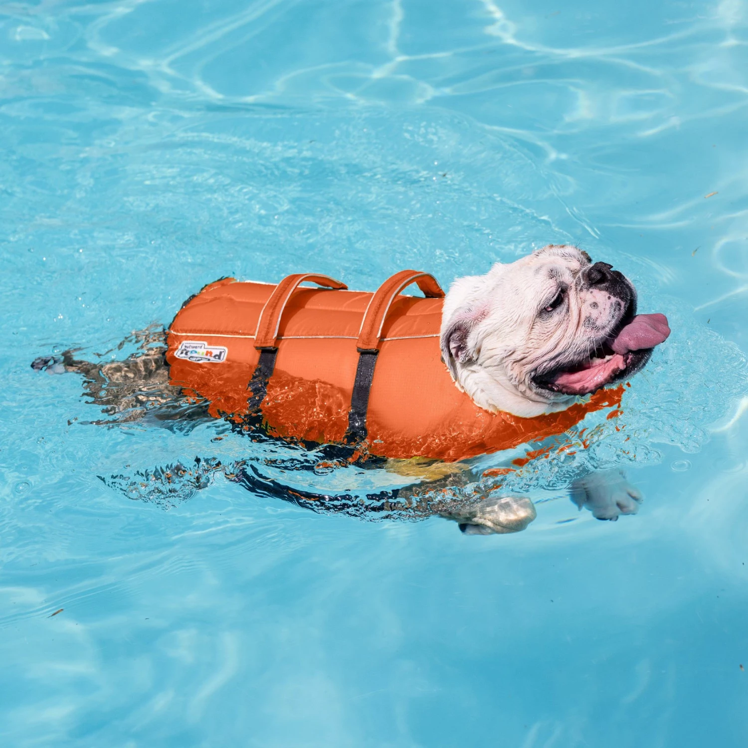 Outward Hound Granby Splash Dog Life Jacket - Image 6