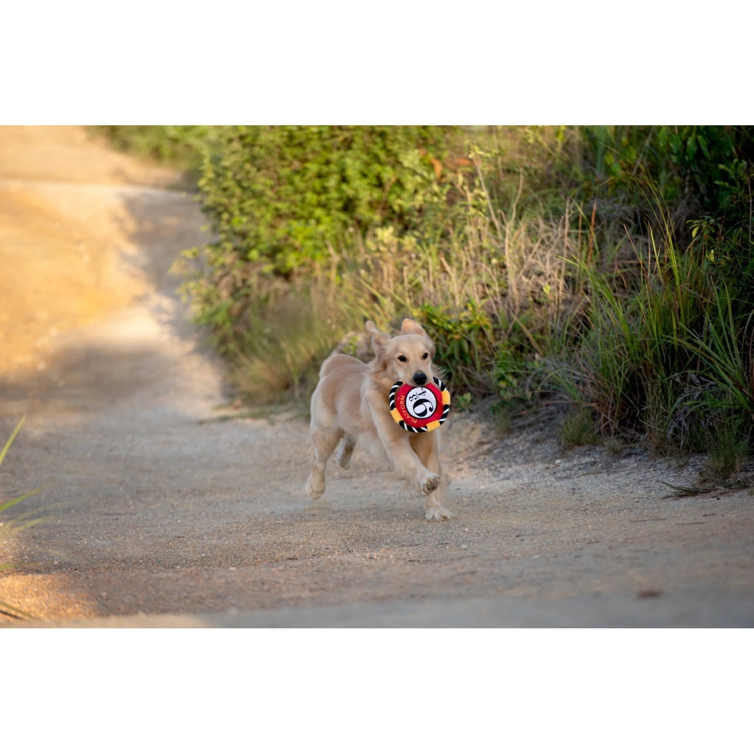 Fetch For Pets Harry Potter 9 3/4 Platform Frisbee Dog Toy - Image 4