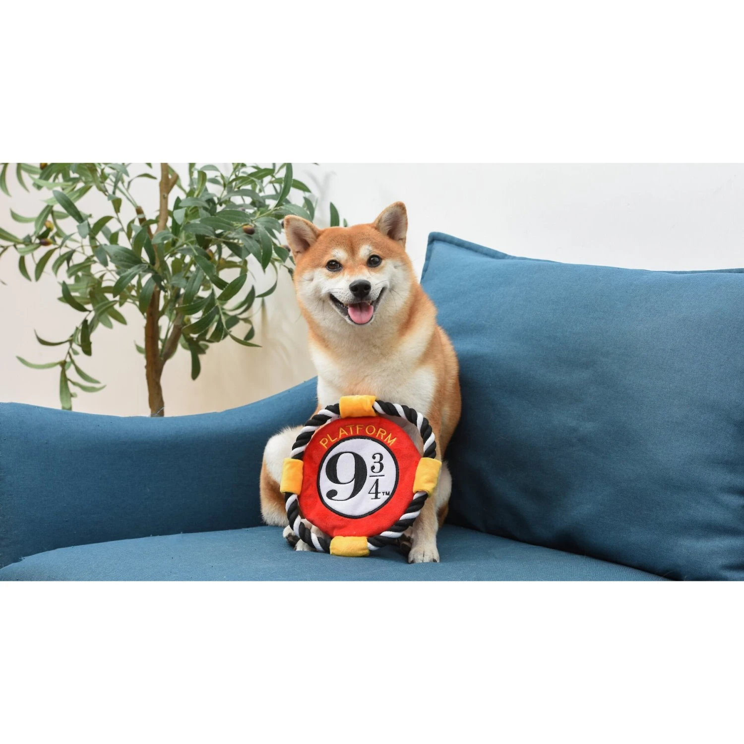 Fetch For Pets Harry Potter 9 3/4 Platform Frisbee Dog Toy - Image 5
