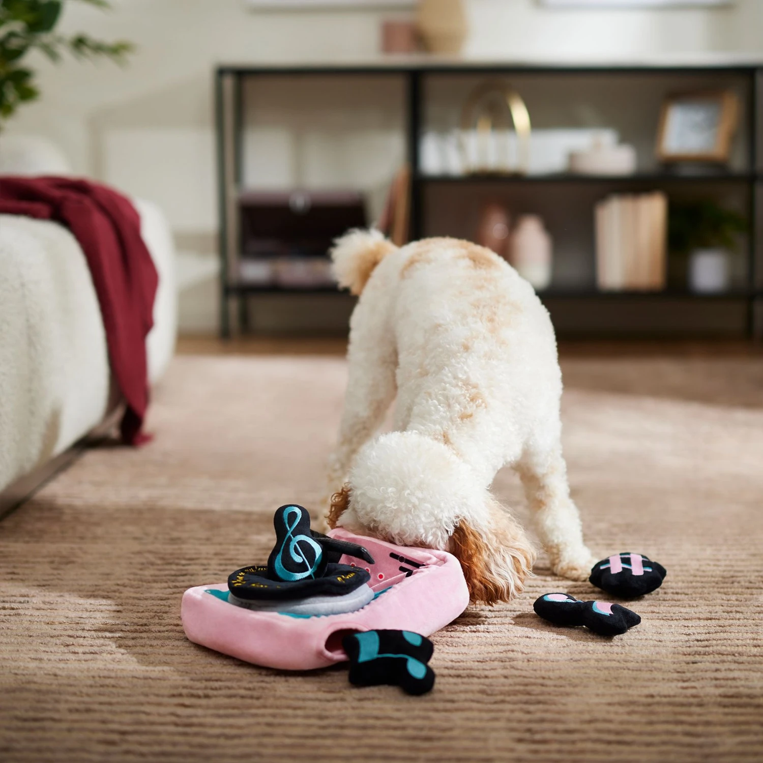 Frisco Valentine Love Song Record Player Hide & Seek Puzzle Plush Squeaky Dog Toy - Image 4