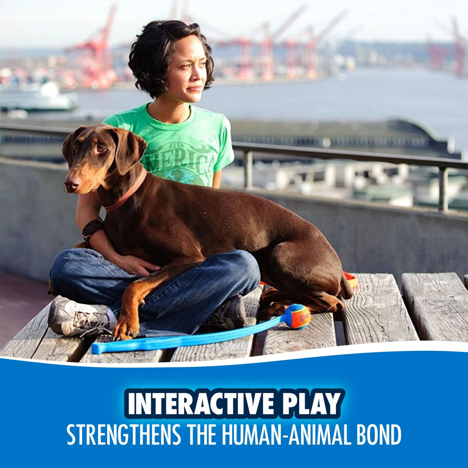 Chuckit! Sport Launcher Dog Toy, Color Varies - Image 5