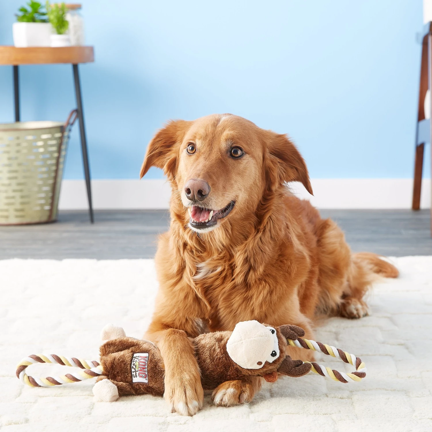 KONG Tuggerknots Moose Dog Toy - Image 2