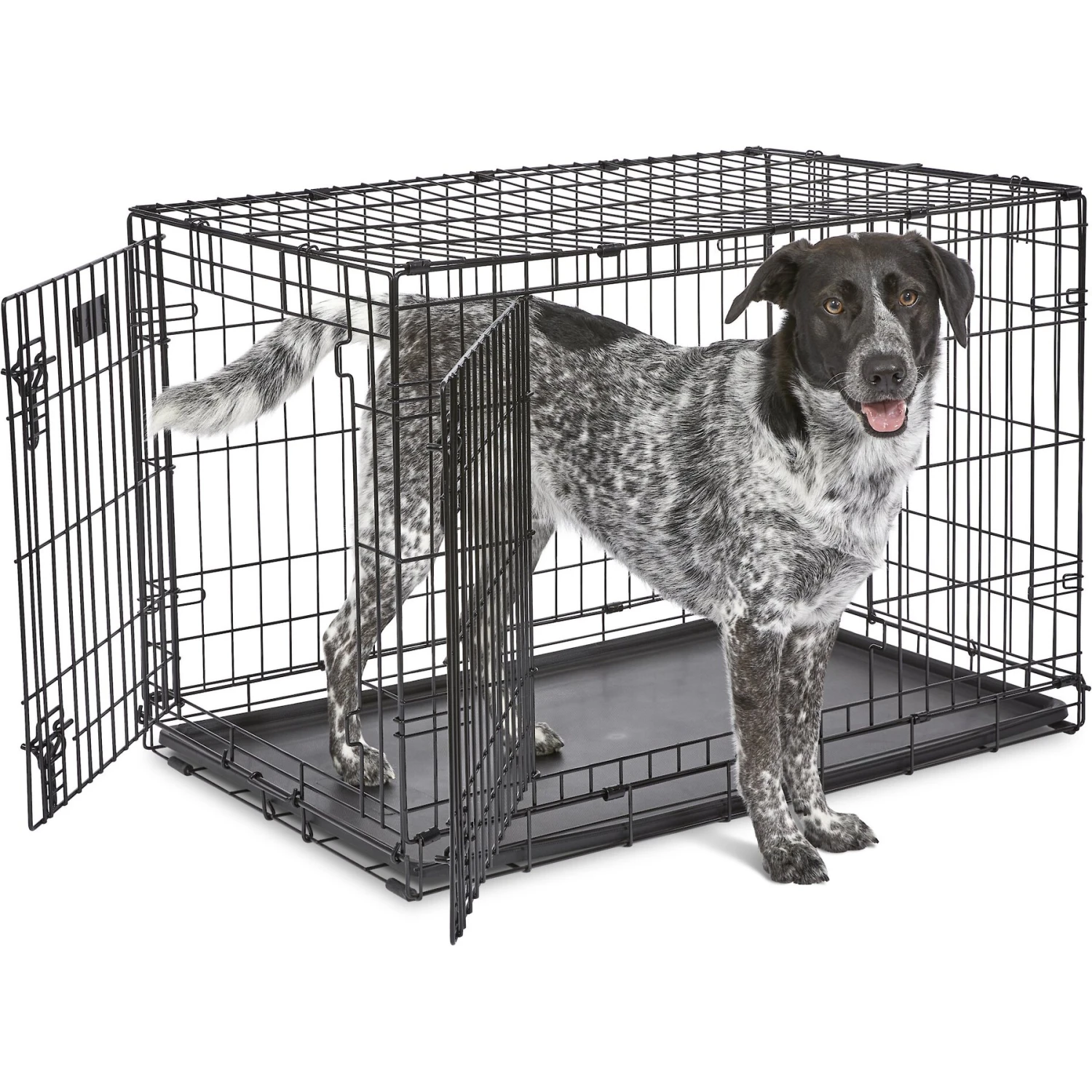 MidWest ICrate Fold & Carry Double Door Collapsible Wire Dog Crate - Image 2