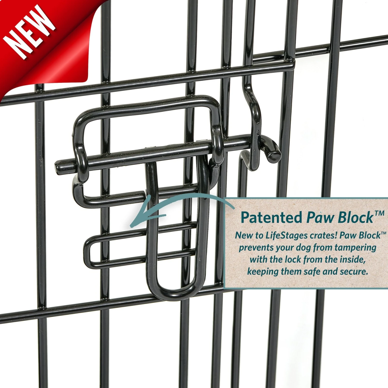 MidWest LifeStages Single Door Collapsible Wire Dog Crate - Image 5