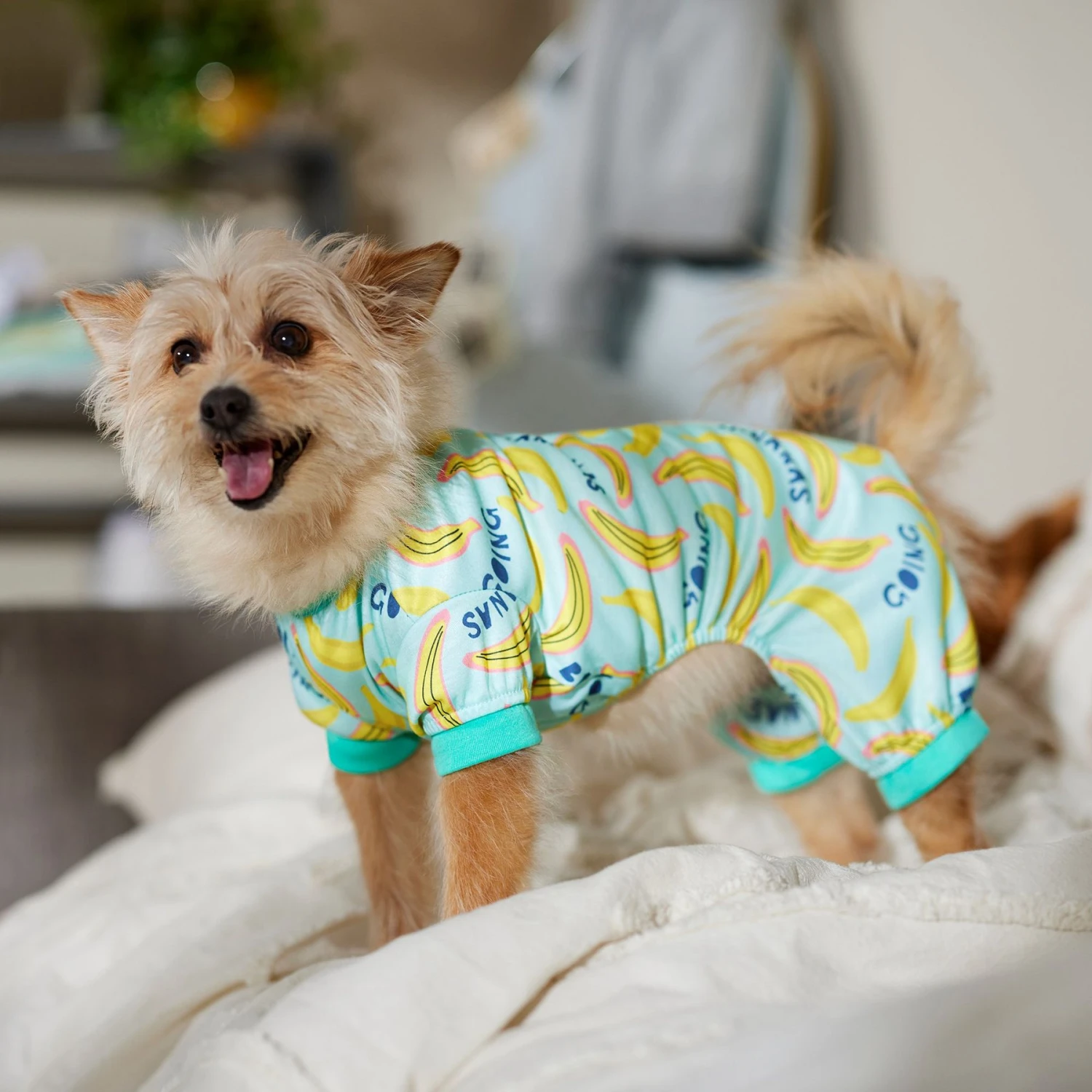 Frisco Go Bananas Dog & Cat Jersey PJs - Image 5