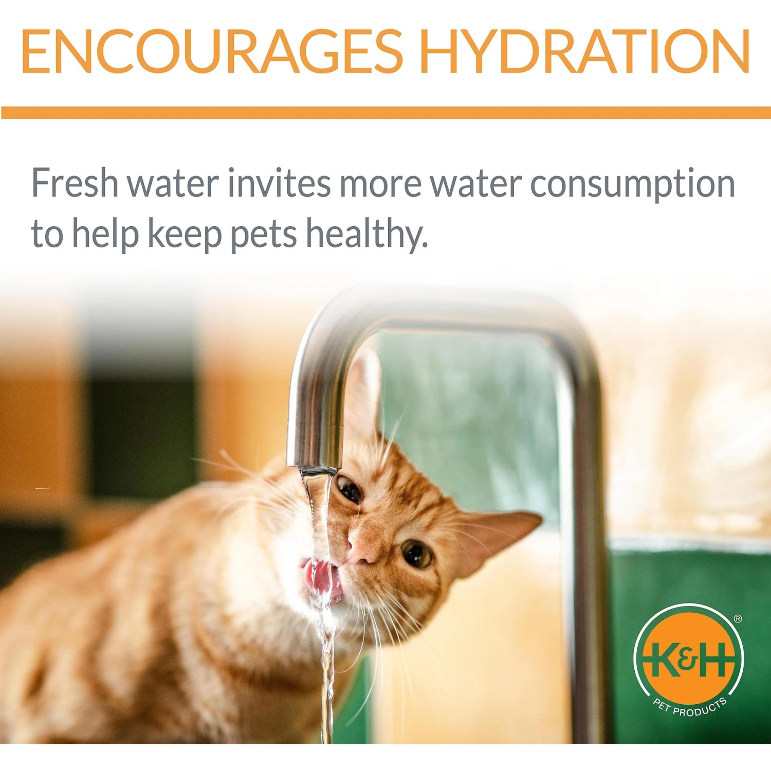 K&H Pet Products CleanFlow Filtered Water Dog Bowl, Small, 80-oz Bowl + 90-oz Reservoir - Image 4