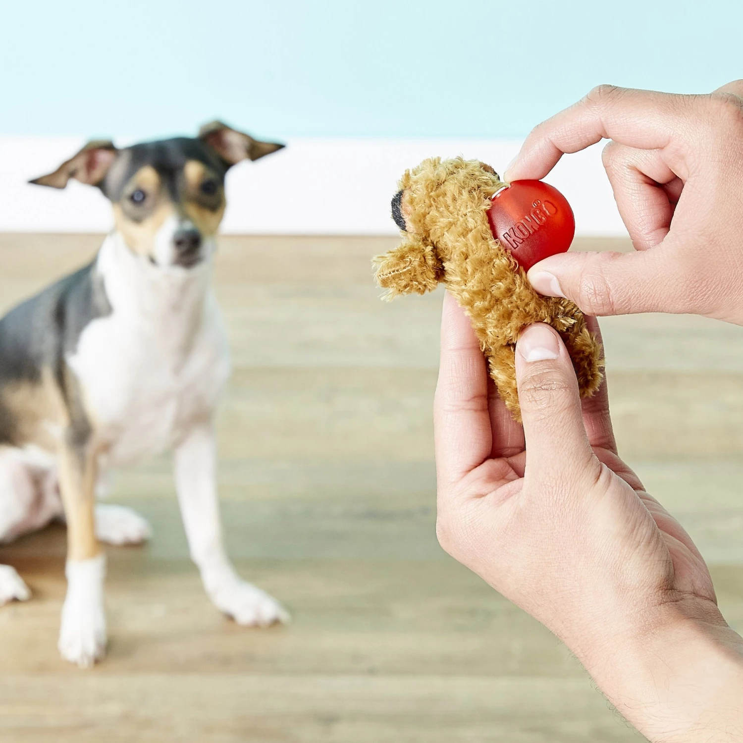 KONG Squeaker Refills - Image 4