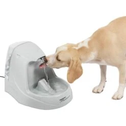 PetSafe Drinkwell Platinum Plastic Dog & Cat Fountain