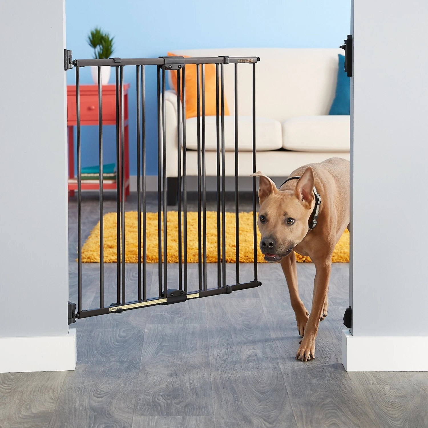 MyPet Windsor Walk Thru Swing Gate For Dogs & Cats - Image 3